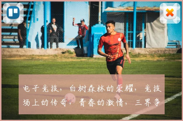 电子竞技，白树森林的荣耀，竞技场上的传奇，青春的激情，三界争锋，一触即发