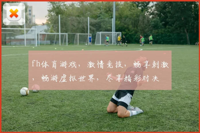 fh体育游戏，激情竞技，畅享刺激，畅游虚拟世界，尽享精彩对决