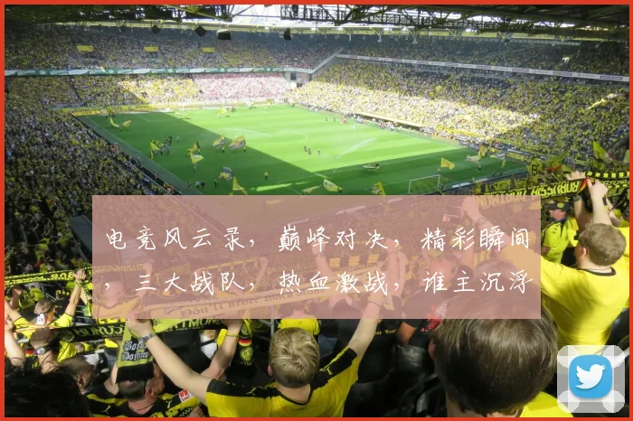 电竞风云录，巅峰对决，精彩瞬间，三大战队，热血激战，谁主沉浮