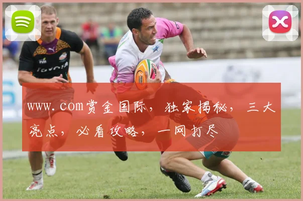 www.com赏金国际，独家揭秘，三大亮点，必看攻略，一网打尽