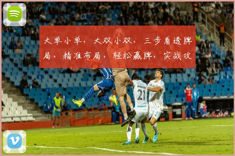 大单小单，大双小双，三步看透牌局，精准布局，轻松赢牌，实战攻略，一网打尽